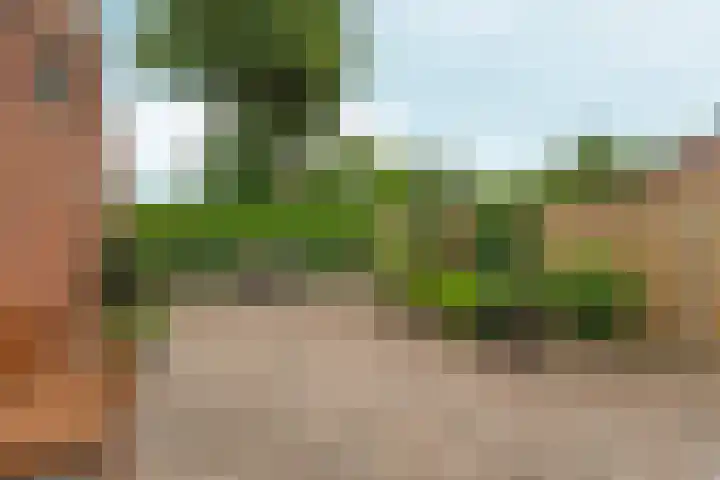 Puttershof 34 Gennep thumbnail 22