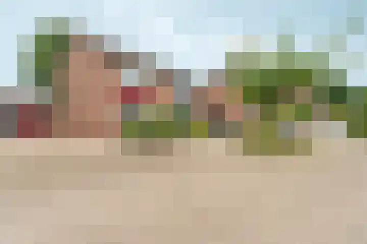 Puttershof 34 Gennep thumbnail 6
