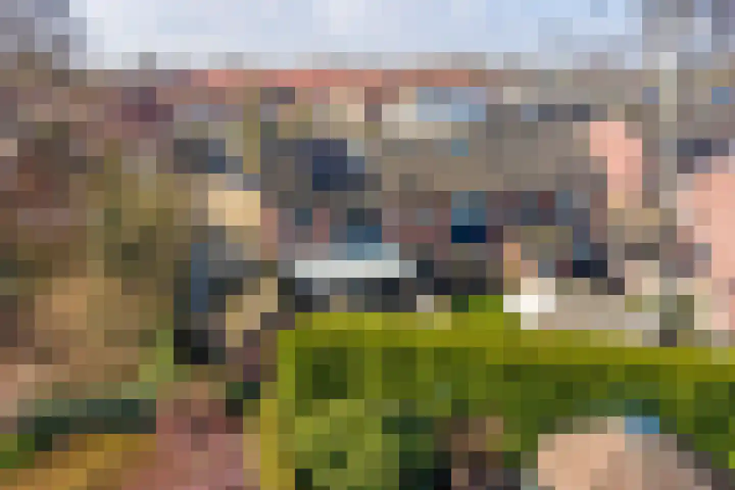 Puttershof 46 Gennep thumbnail 26