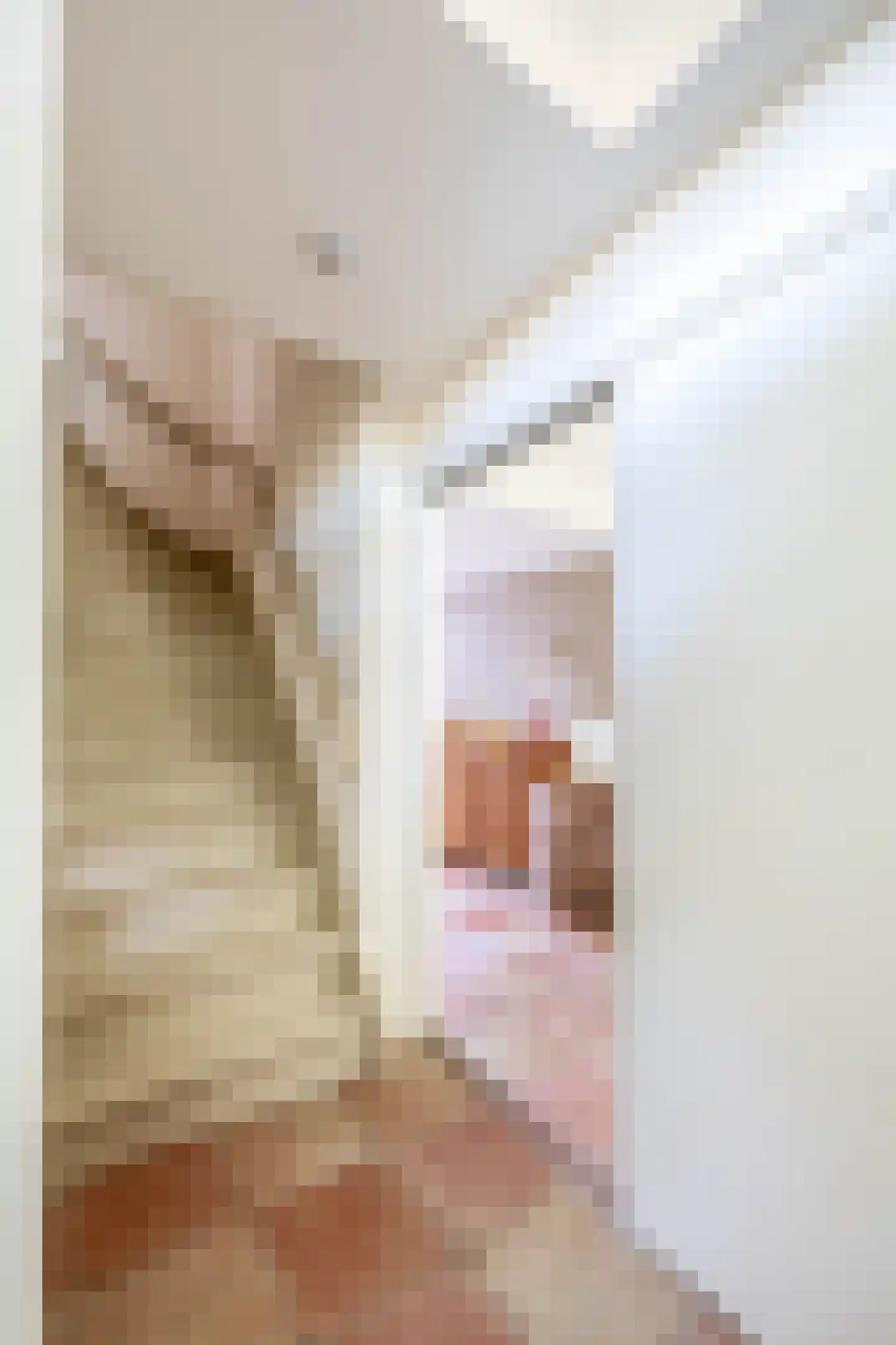 Putterstraat 10 Vessem thumbnail 11