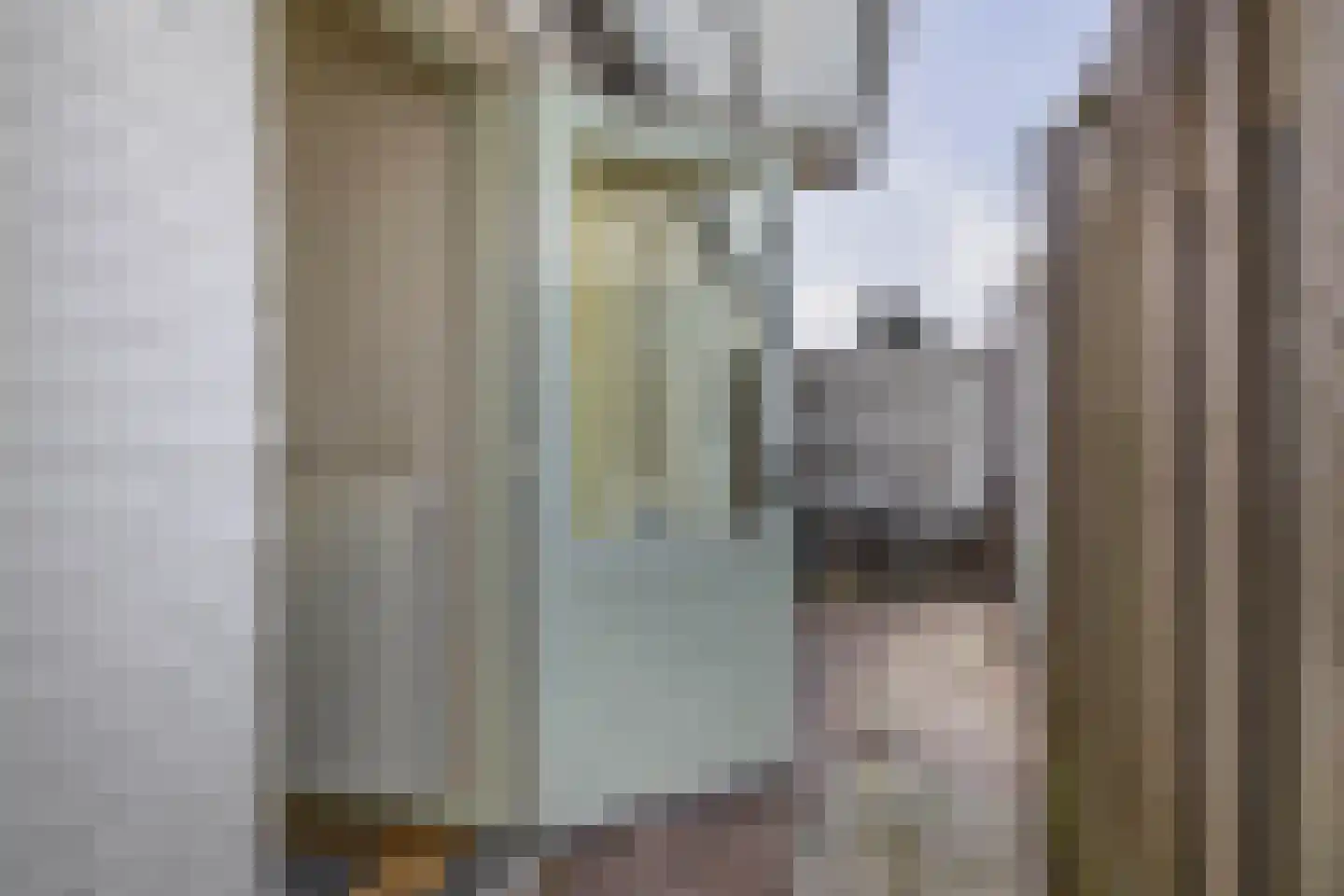 Putterstraat 10 Vessem thumbnail 38