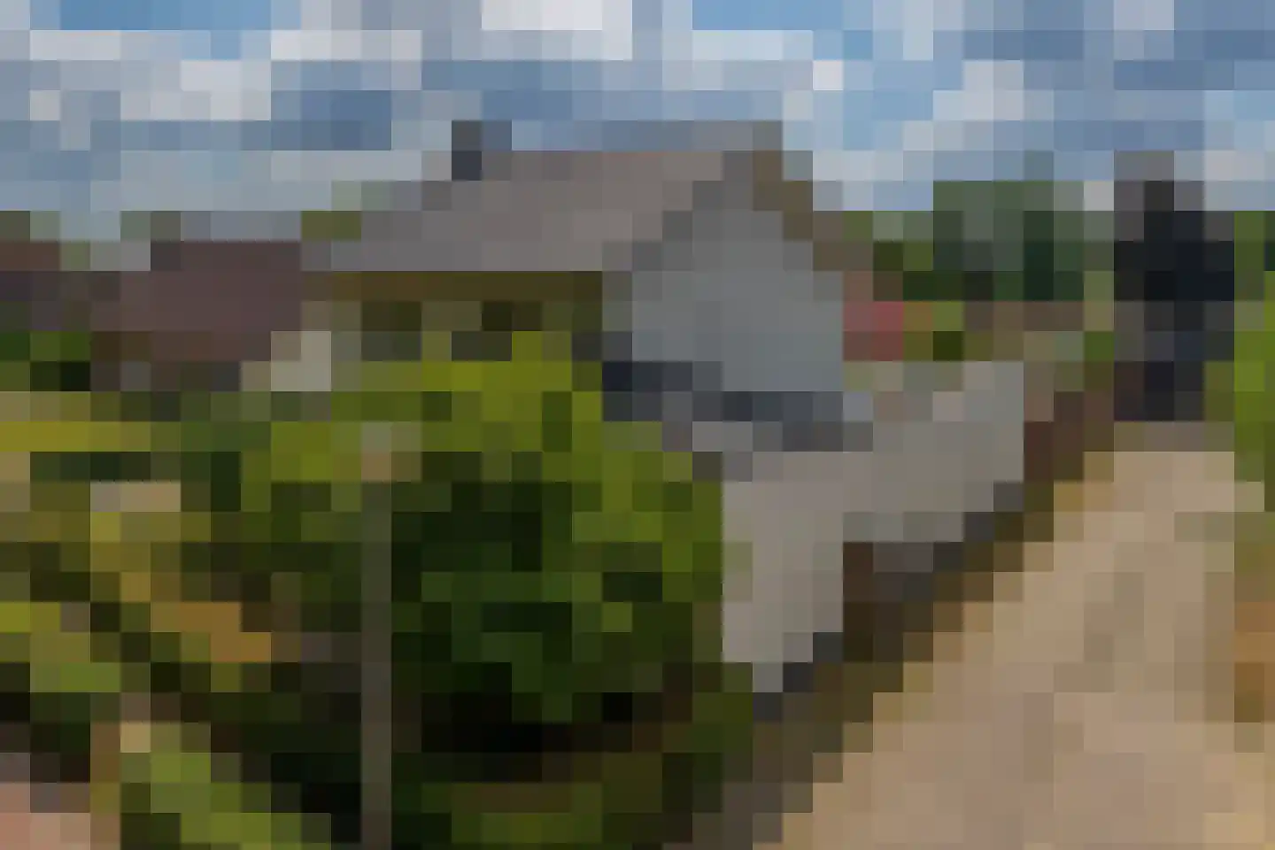 Putterstraat 10 Vessem thumbnail 7