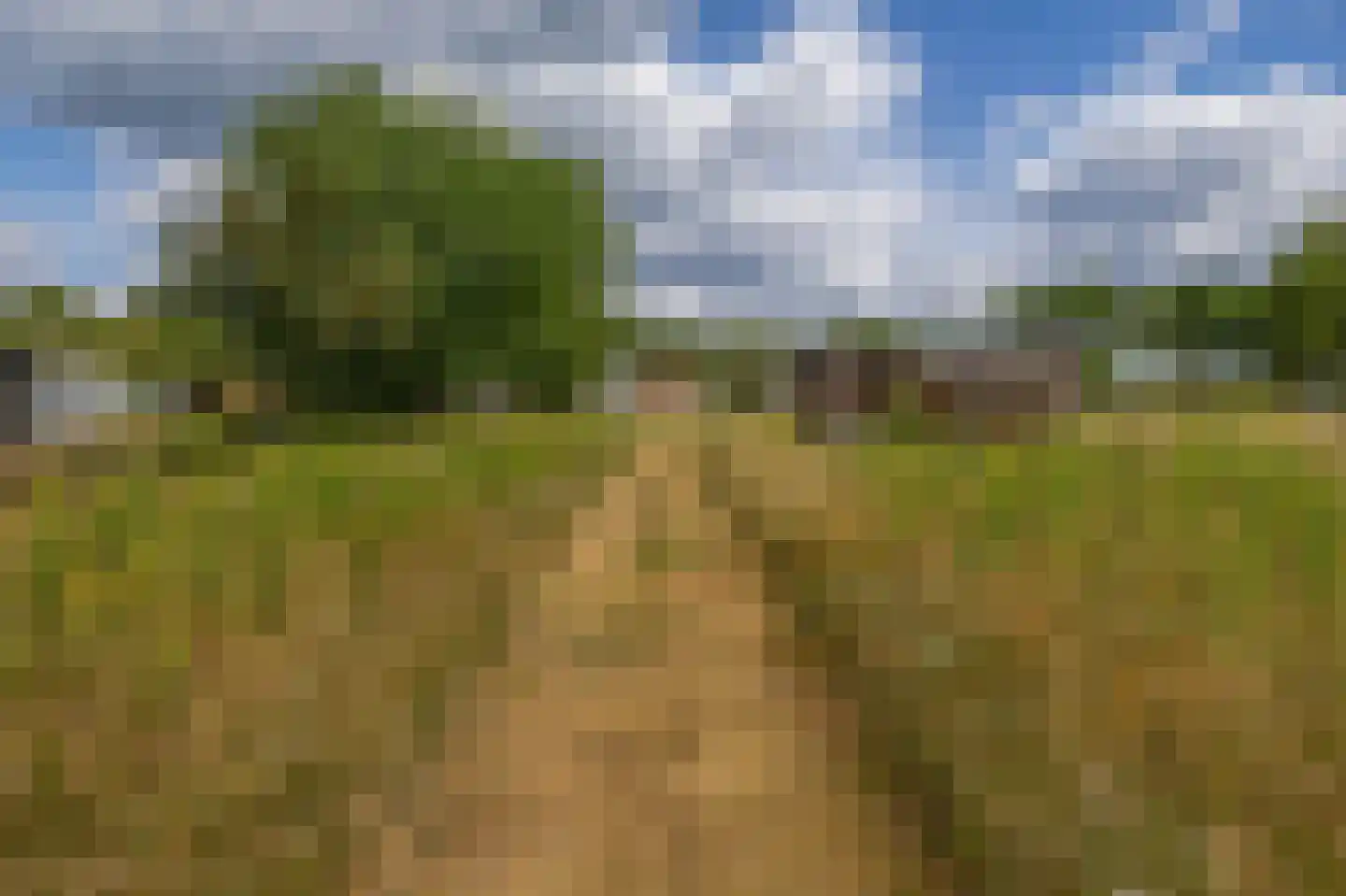Putterstraat 10 Vessem thumbnail 72