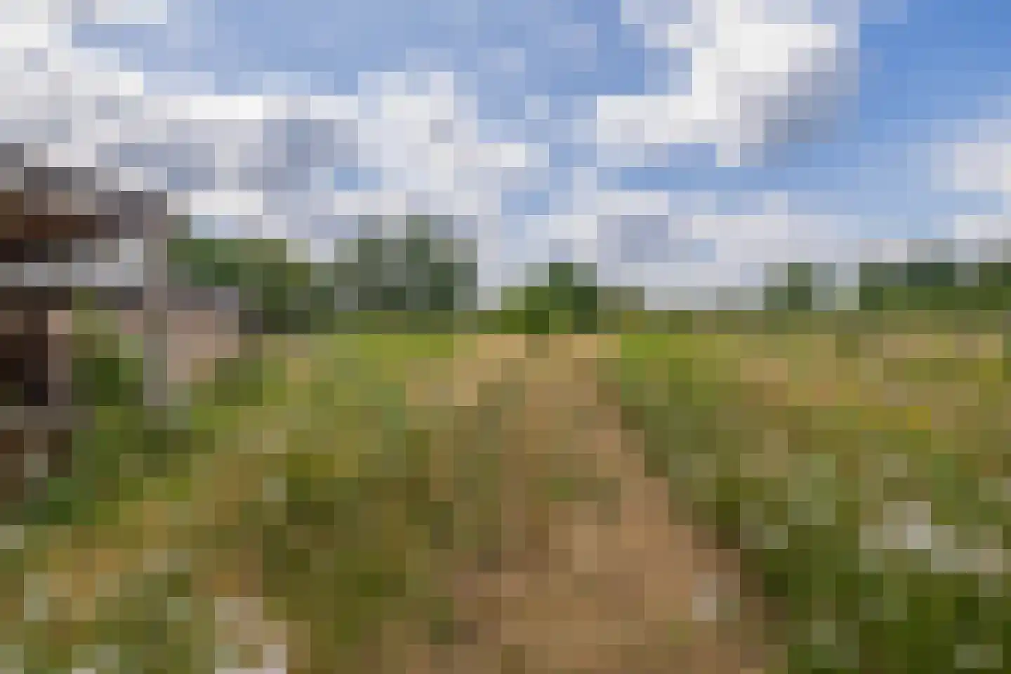 Putterstraat 10 Vessem thumbnail 73