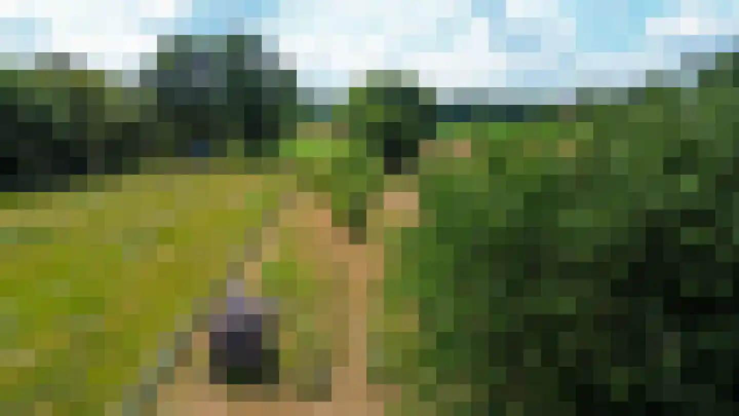 Putterstraat 10 Vessem thumbnail 75