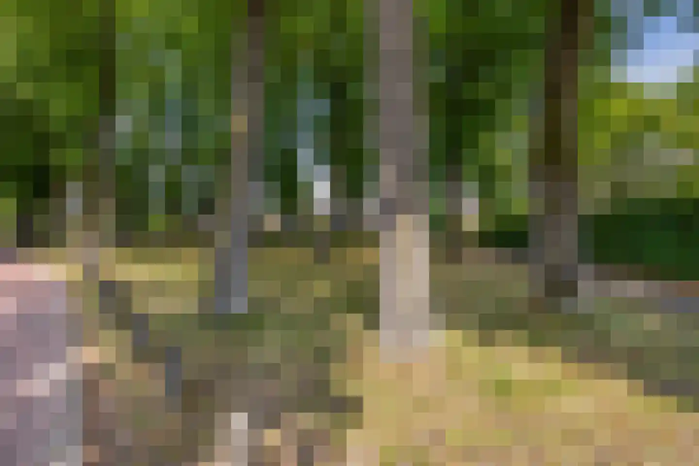 Putterstraat 10 Vessem thumbnail 8
