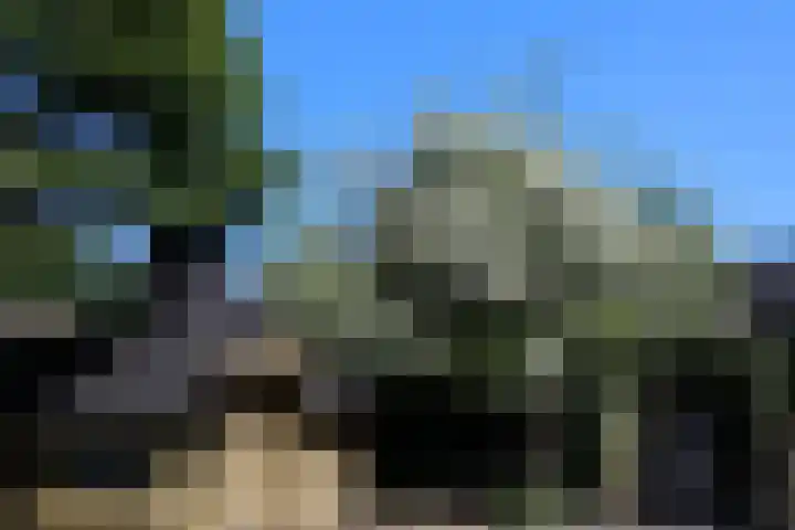 Putterstraat 10 Wijchen thumbnail 46
