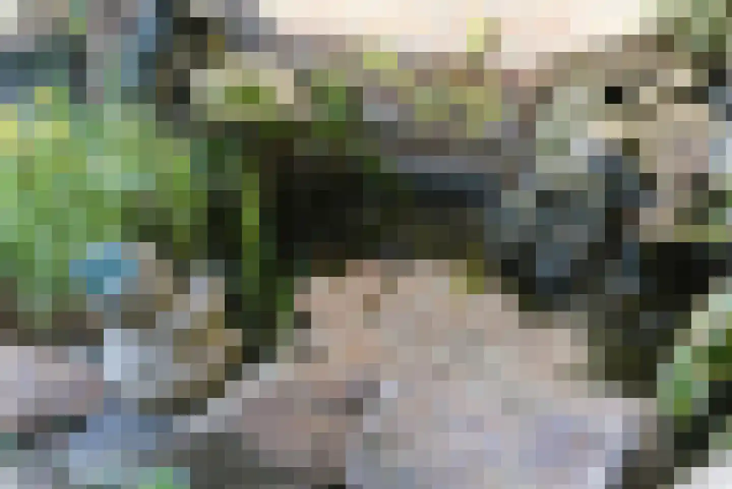 Putterstraat 18 Mill thumbnail 37