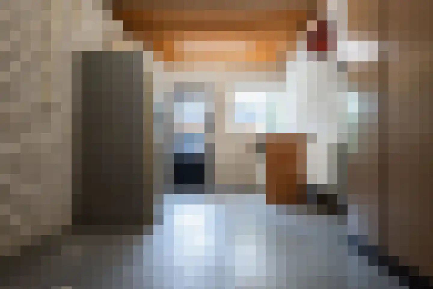 Putterstraat 25 Vessem thumbnail 26