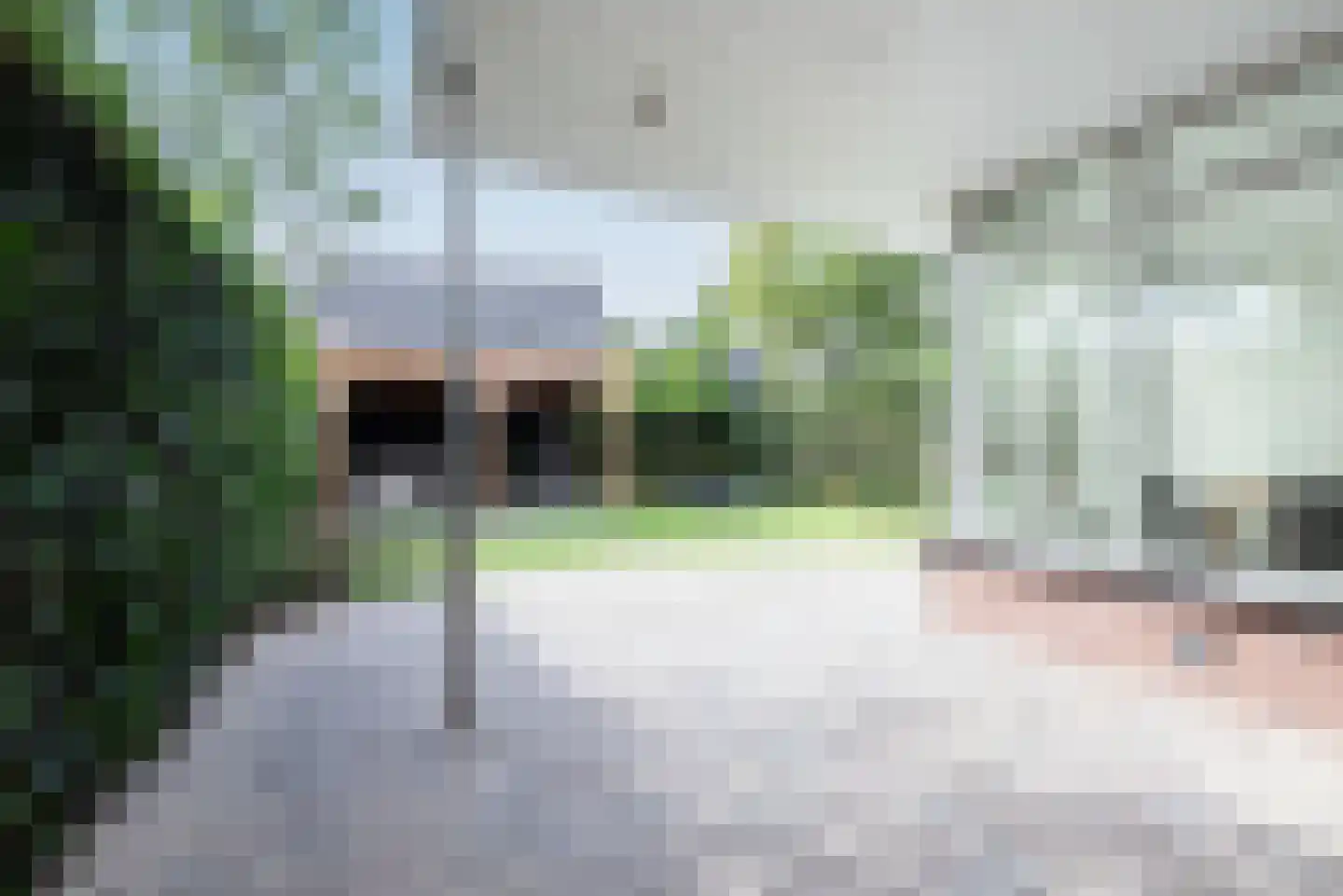 Putterstraat 25 Vessem thumbnail 5