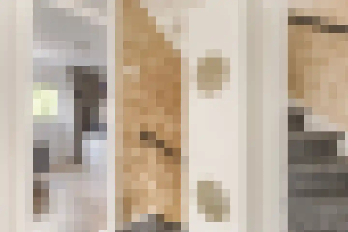 Putterstraat 4 Vaassen thumbnail 13