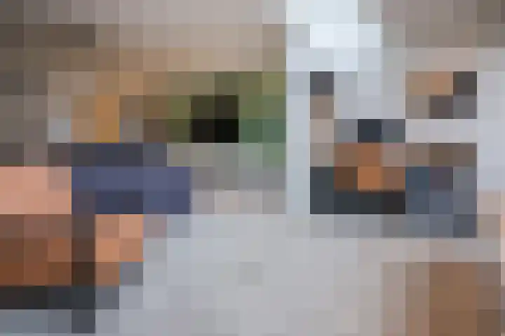 Putterstraat 57 Vessem thumbnail 11
