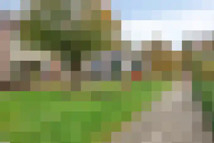 Putterstraat 8 Vaassen thumbnail 30