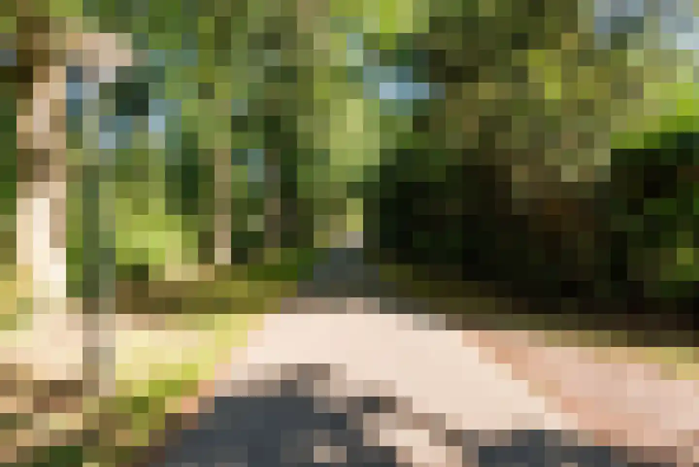 Putterweg 4 j Wapenveld thumbnail 38