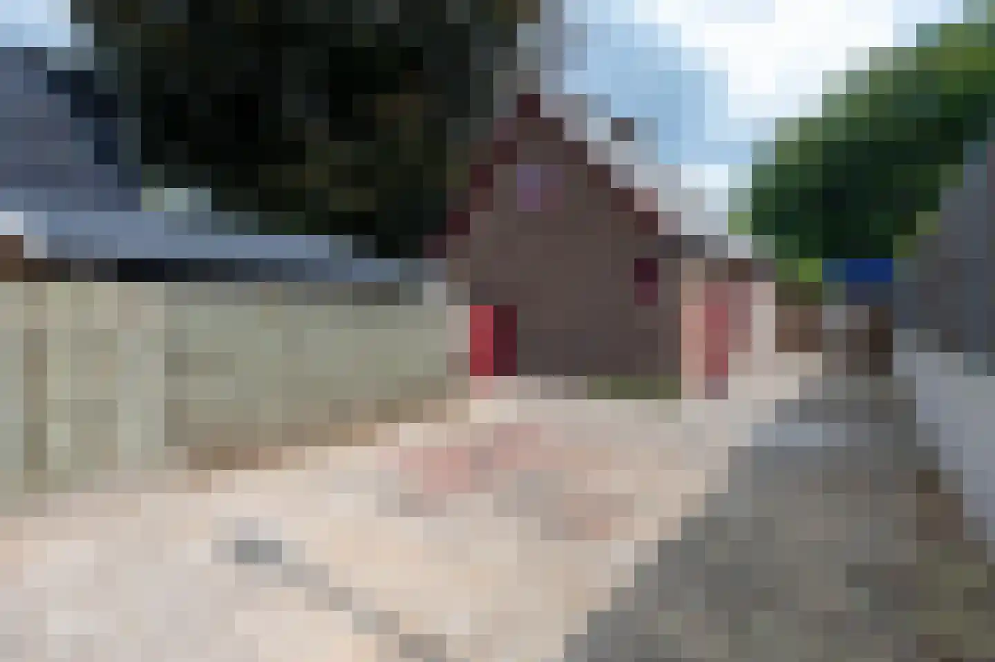 Putterweg 5 Garderen thumbnail 19