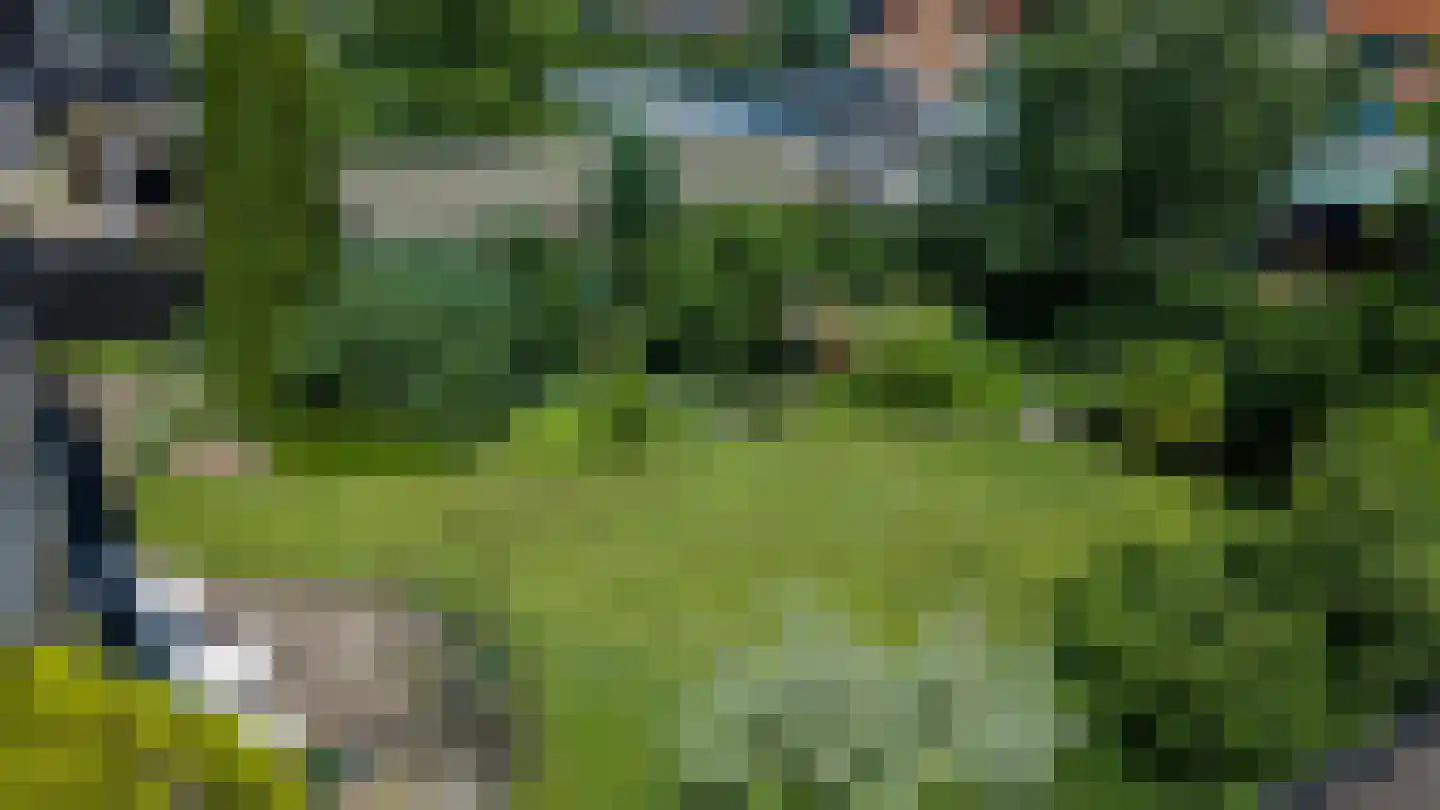 Putterweg 5 Wapenveld thumbnail 32