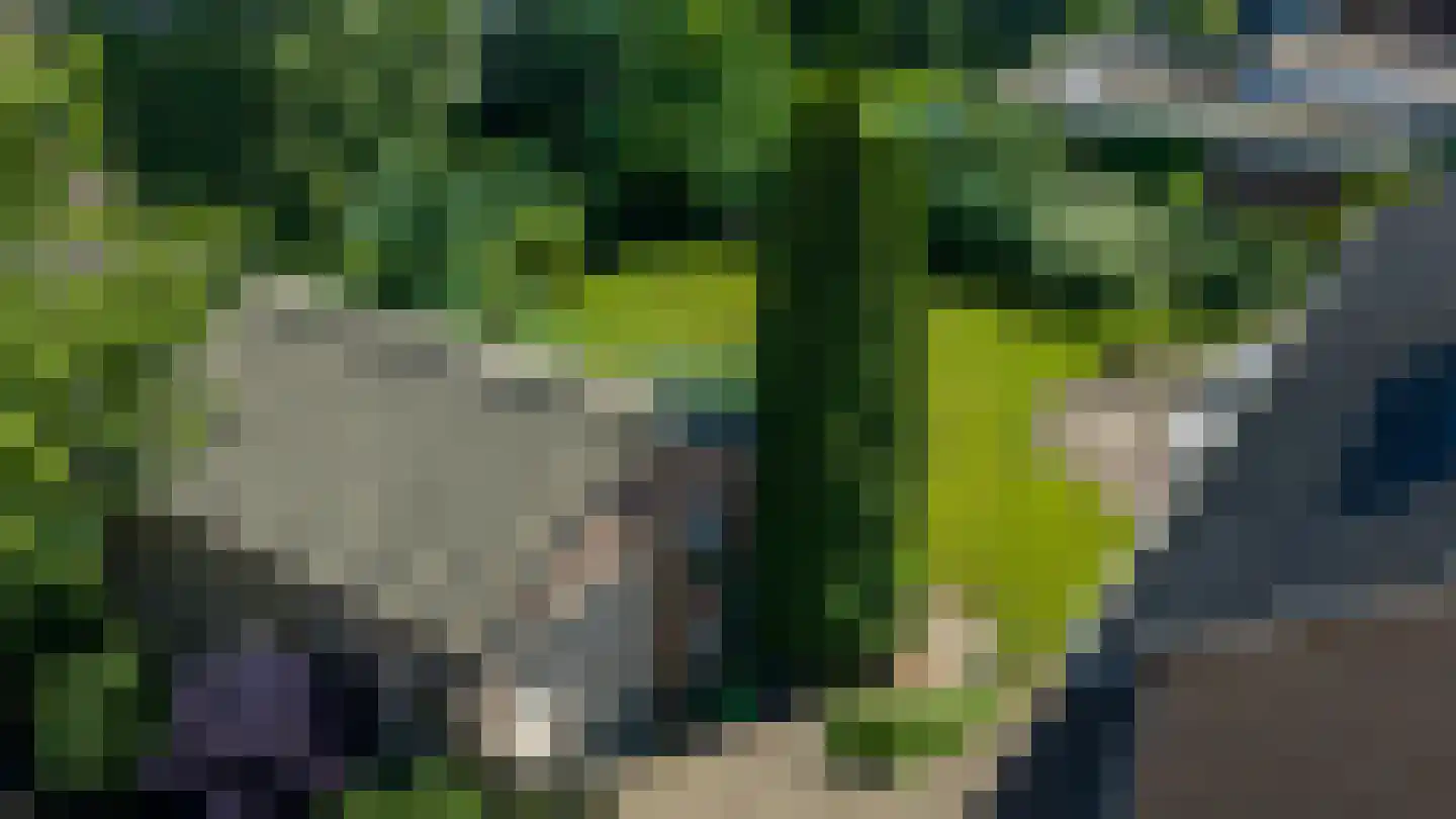 Putterweg 5 Wapenveld thumbnail 33