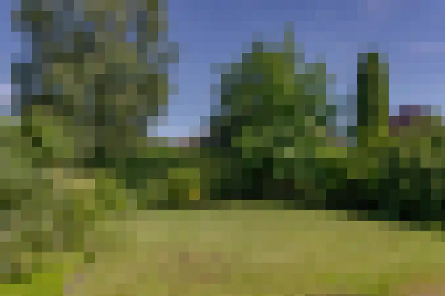 Putterweg 5 Wapenveld thumbnail 34
