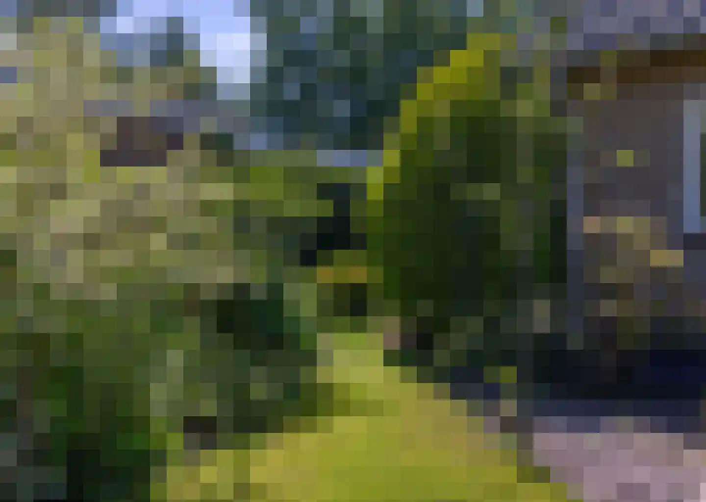 Putterweg 5 Wapenveld thumbnail 35