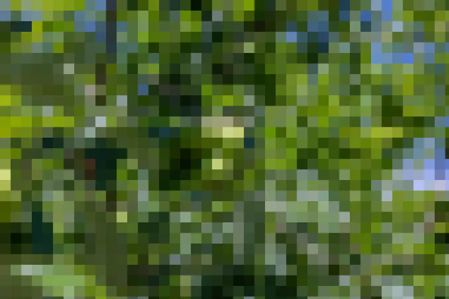 Putterweg 5 Wapenveld thumbnail 36
