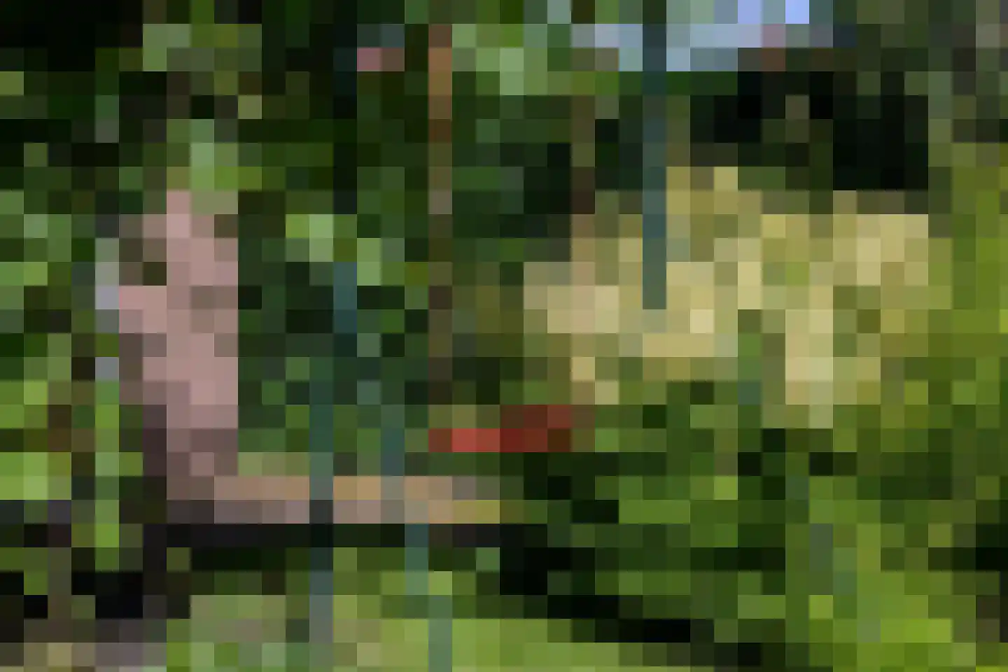 Putterweg 5 Wapenveld thumbnail 37