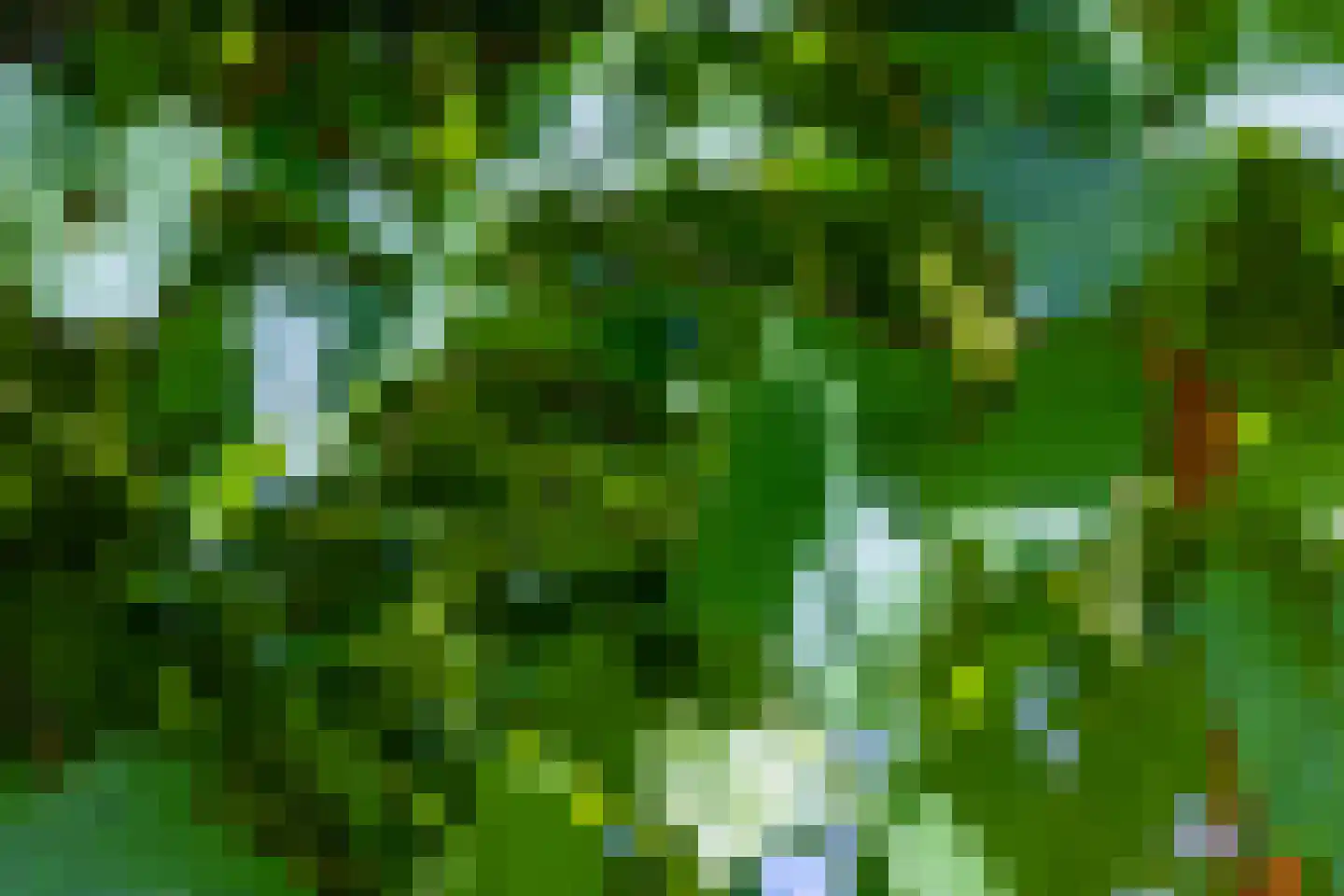 Putterweg 5 Wapenveld thumbnail 38
