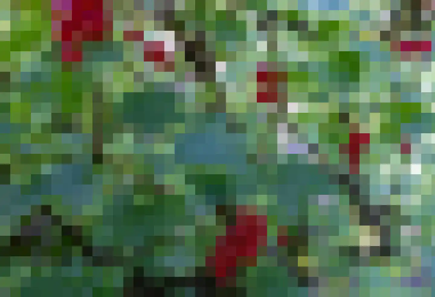 Putterweg 5 Wapenveld thumbnail 39