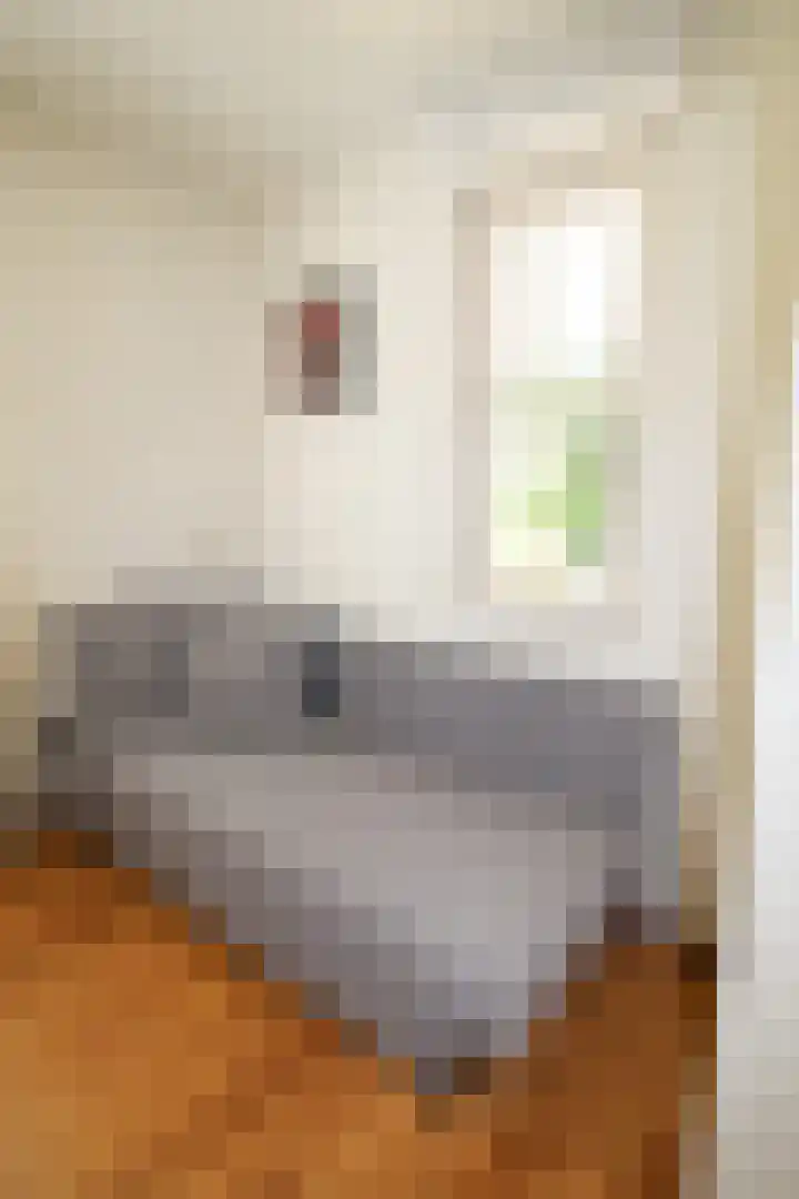 Putterweg 52 Ermelo thumbnail 31