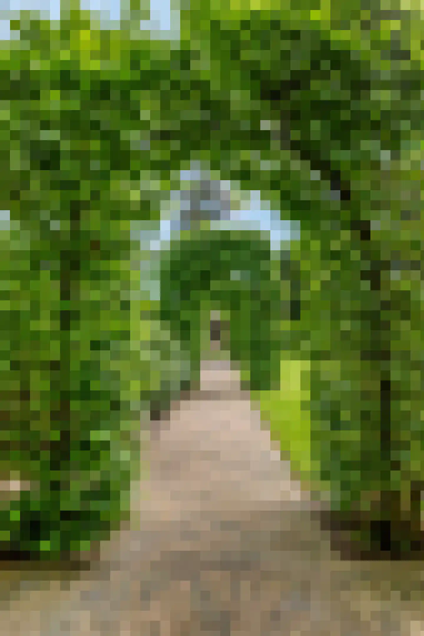 Putterweg 52 Garderen thumbnail 43