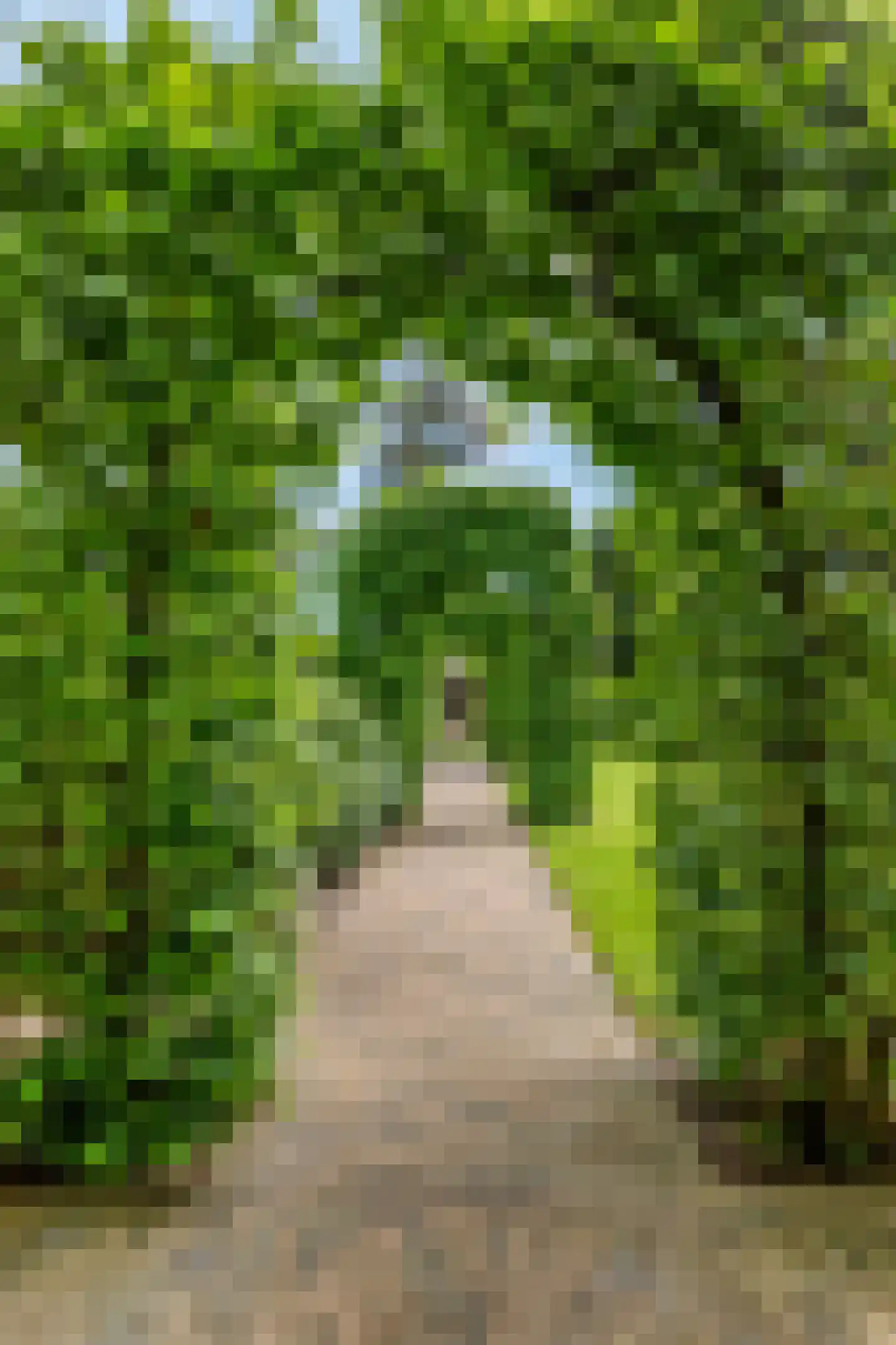 Putterweg 52 Garderen thumbnail 46