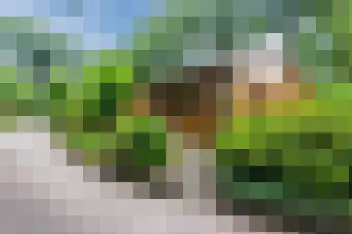 Putterweg 64 A 14 Garderen thumbnail 34