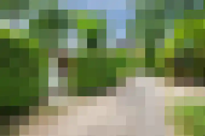 Putterweg 64 A 14 Garderen thumbnail 36