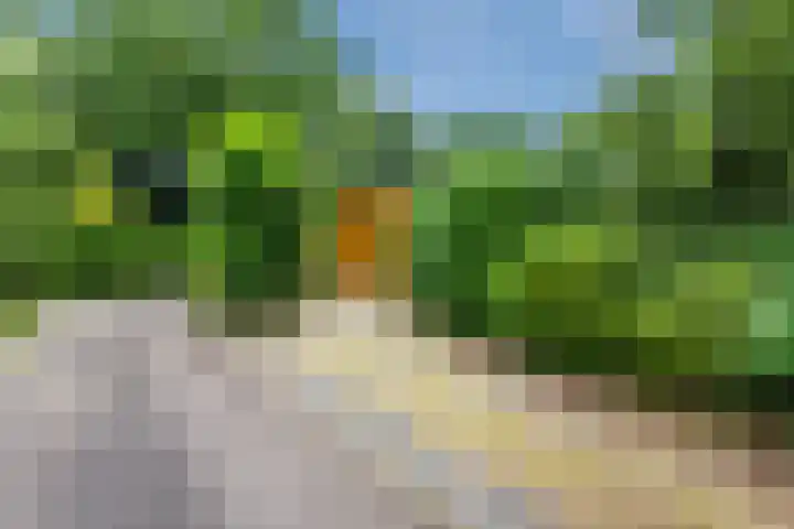 Putterweg 64 A 14 Garderen thumbnail 39