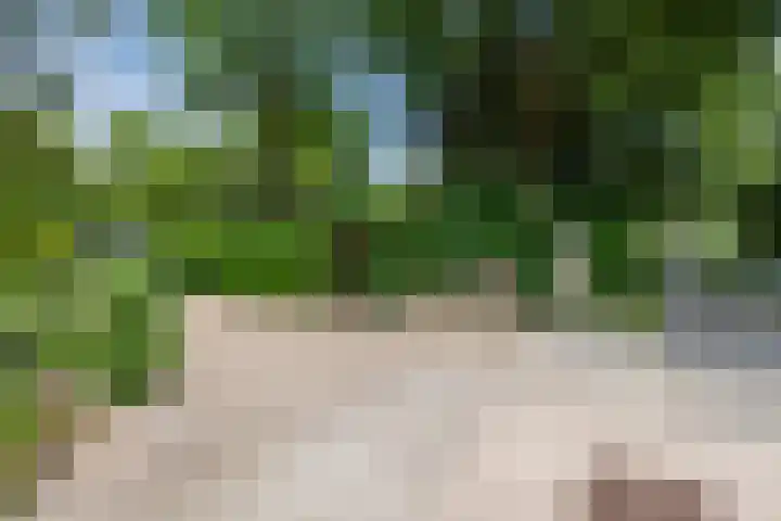 Putterweg 64 A 14 Garderen thumbnail 41