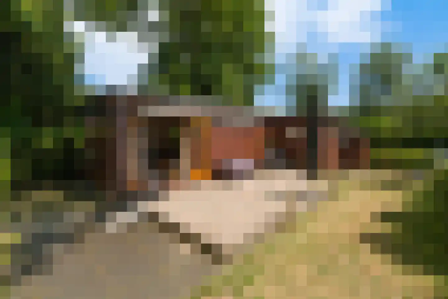 Putterweg 64 A 33 Garderen thumbnail 5