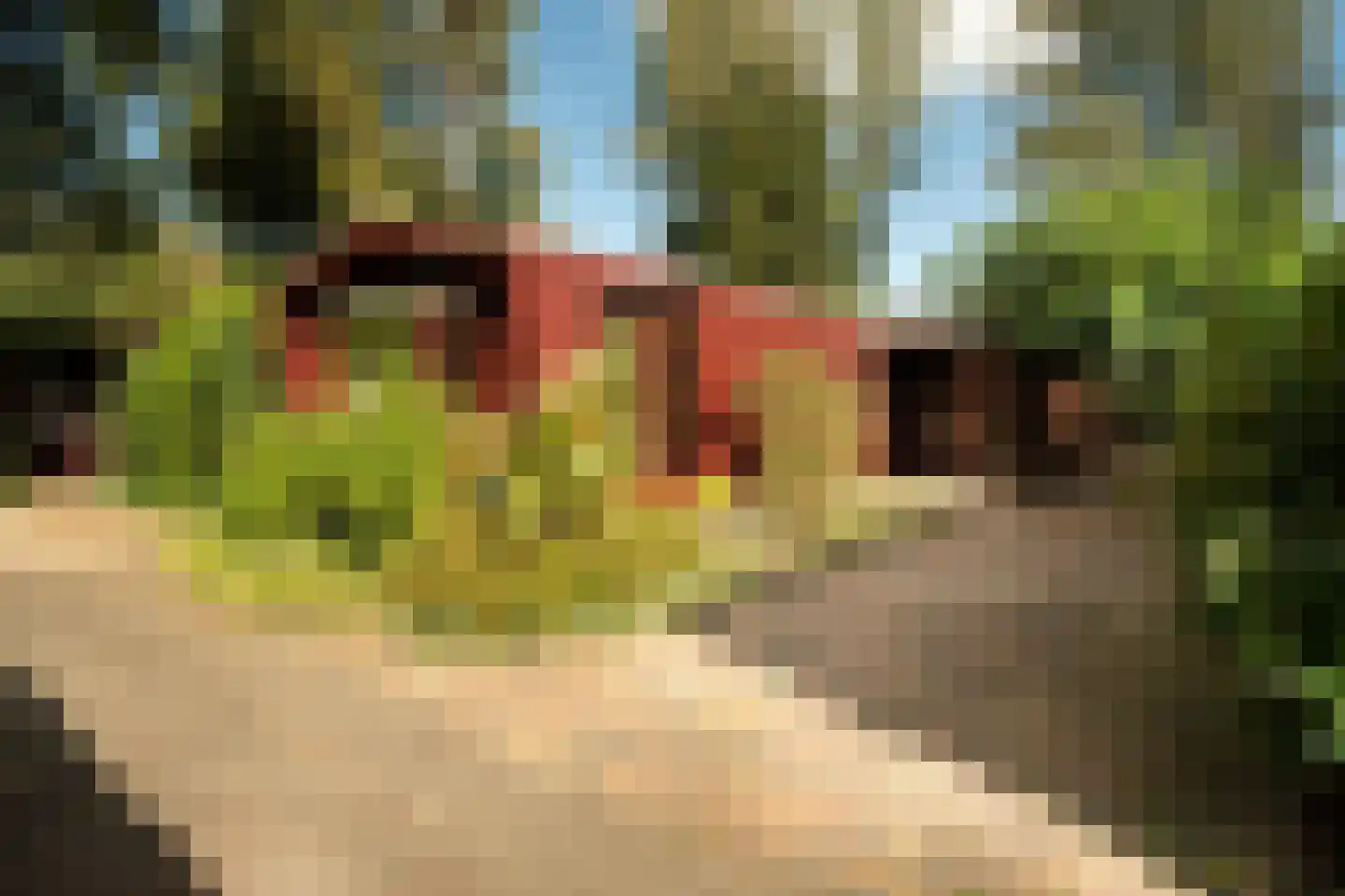 Putterweg 64 A 36 Garderen thumbnail 25