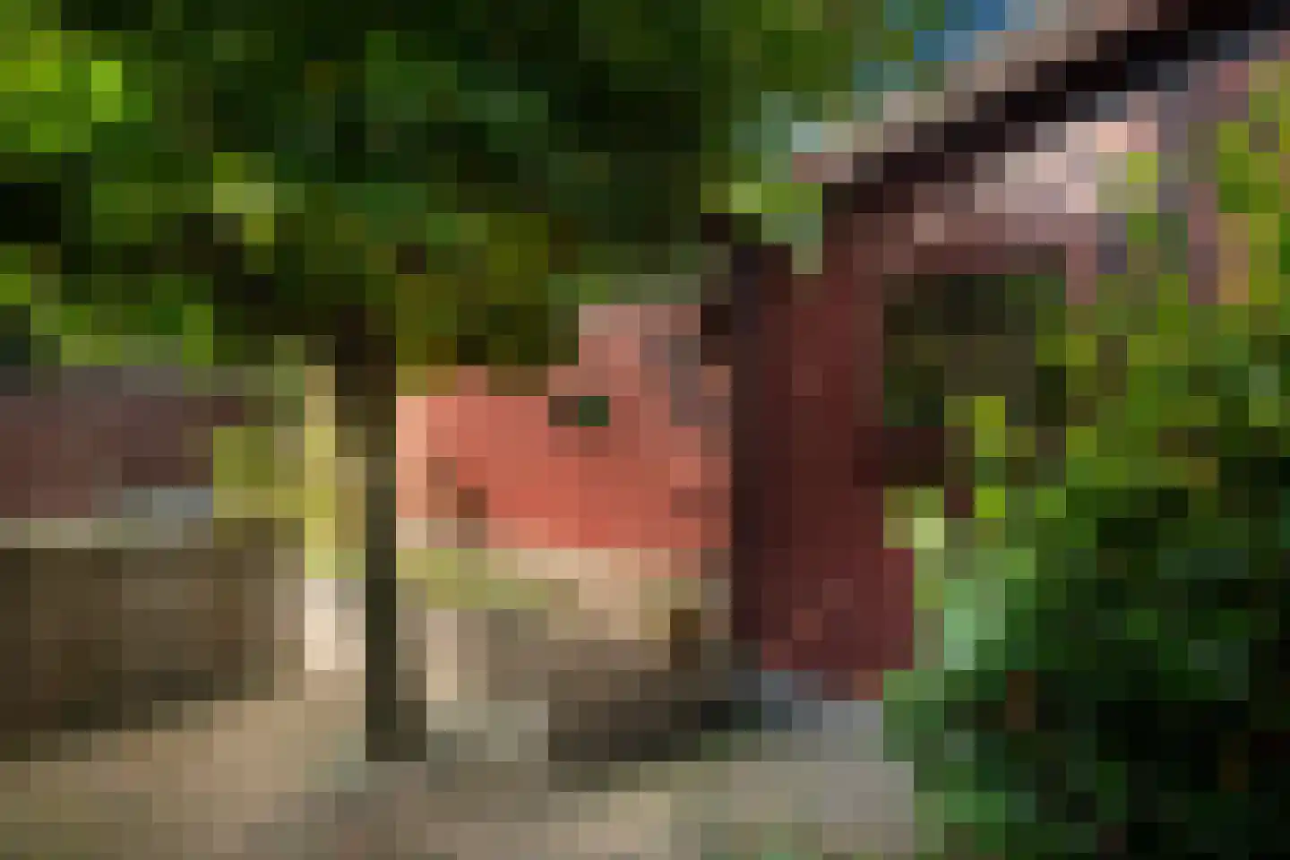 Putterweg 64 A 36 Garderen thumbnail 5