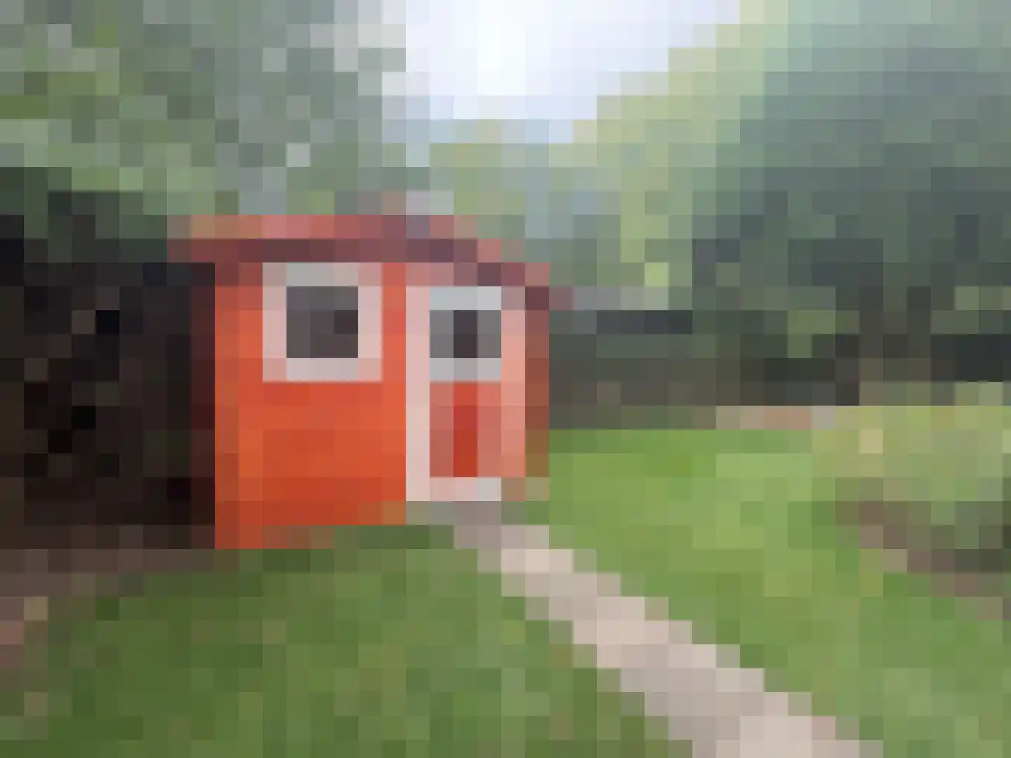 Putterweg 64 A 39 Garderen thumbnail 18