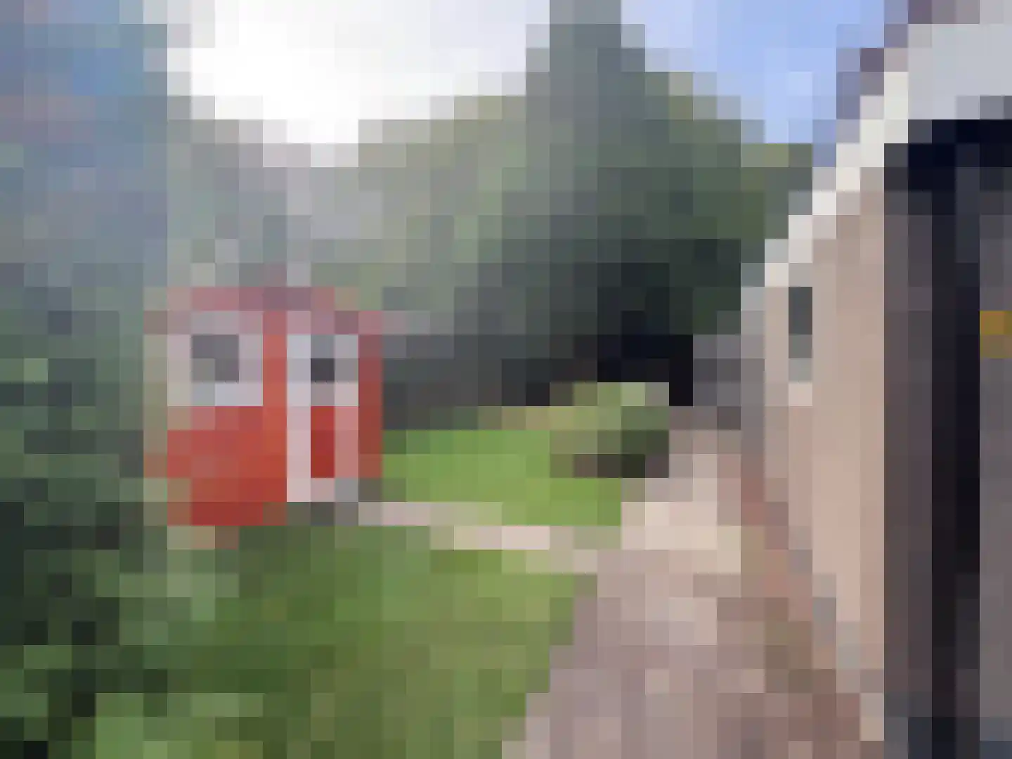 Putterweg 64 A 39 Garderen thumbnail 20