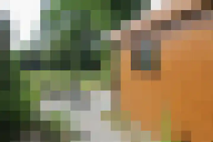 Putterweg 64 A 51 Garderen thumbnail 32