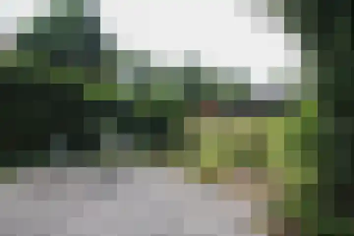 Putterweg 64 A 51 Garderen thumbnail 33