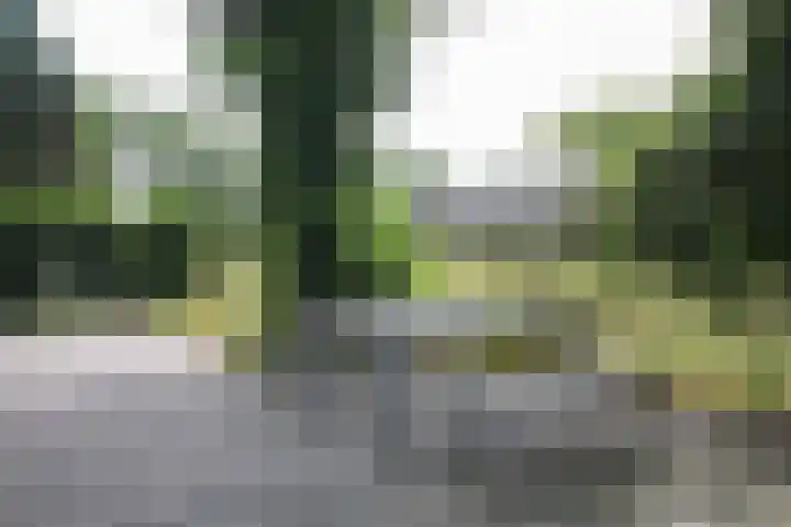Putterweg 64 A 51 Garderen thumbnail 34