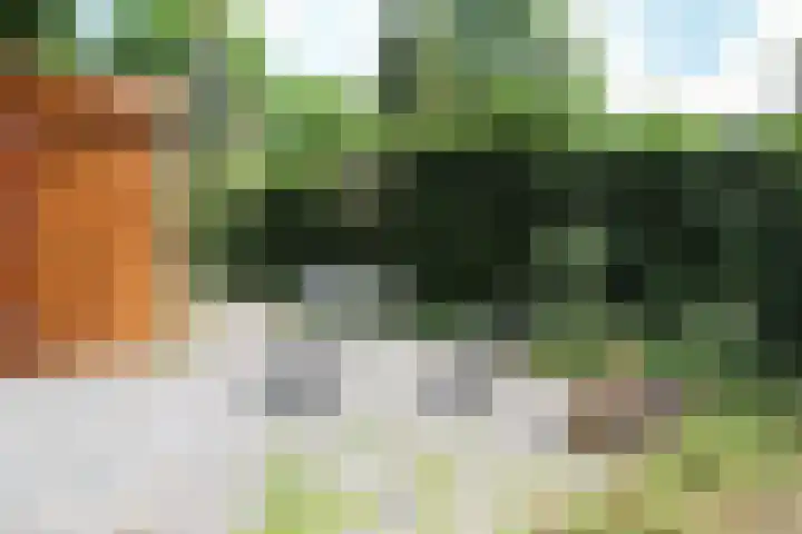 Putterweg 64 A 51 Garderen thumbnail 43