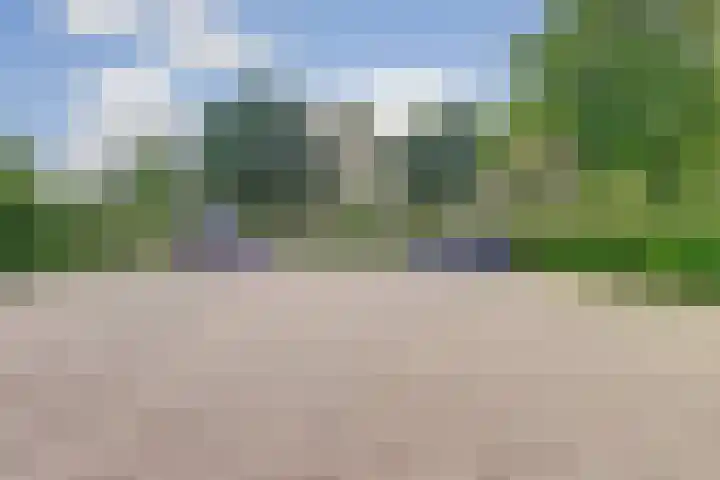 Putterweg 66 Ermelo thumbnail 32