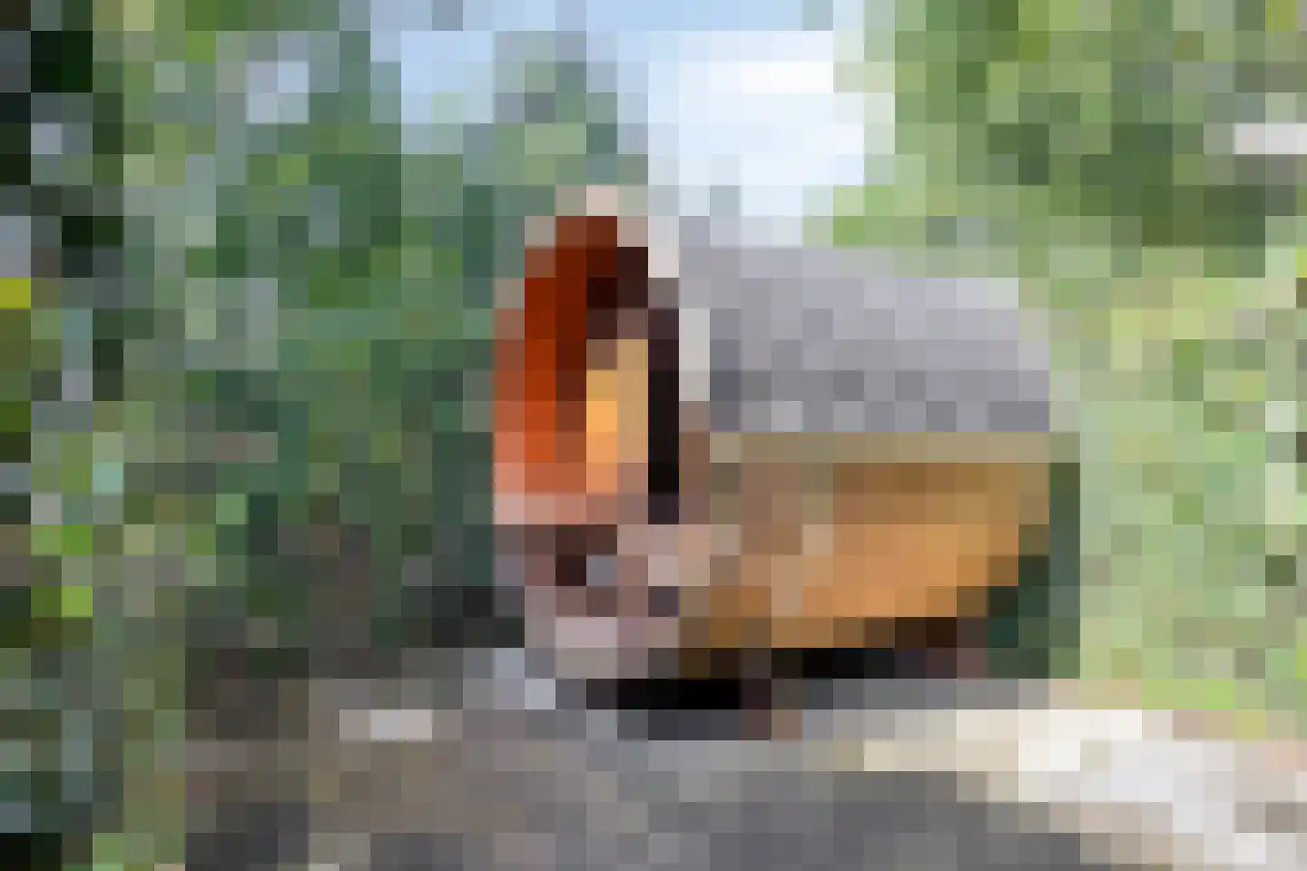 Putterweg 70 102 Garderen thumbnail 9