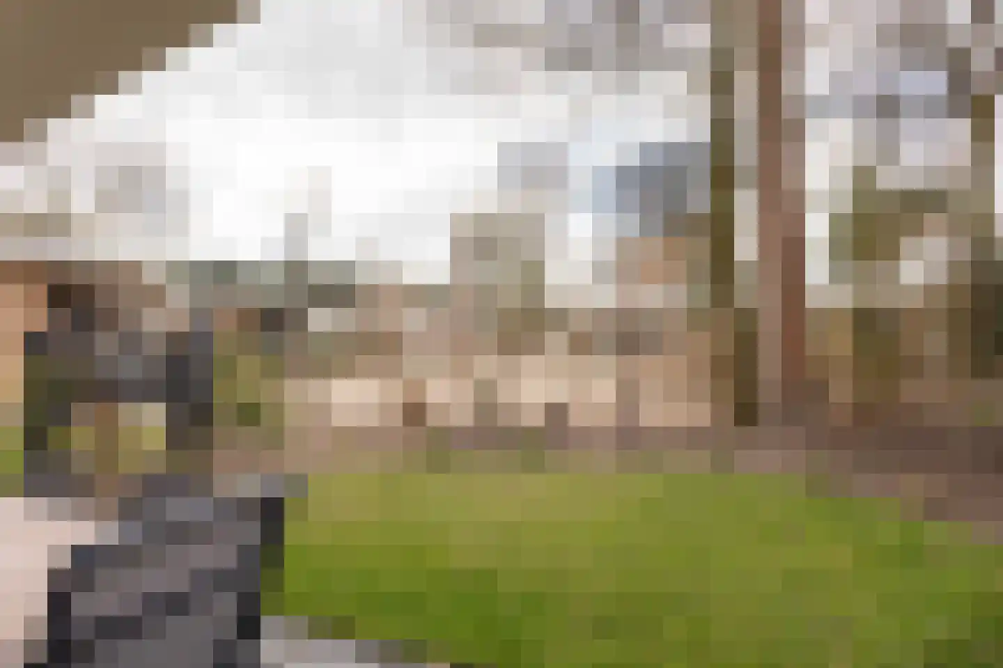 Putterweg 70 230 Garderen thumbnail 5