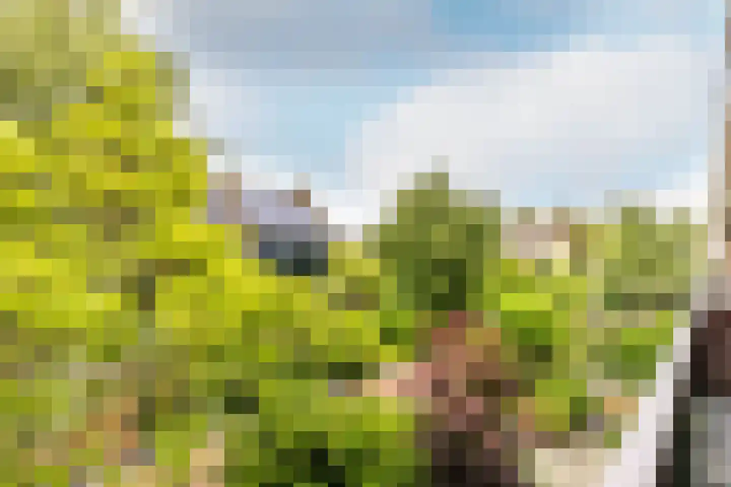 Putteweye 12 Heenvliet thumbnail 23
