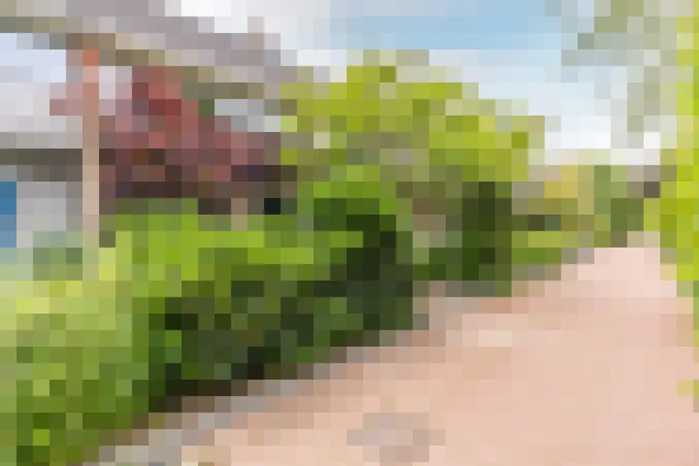 Putteweye 12 Heenvliet thumbnail 5