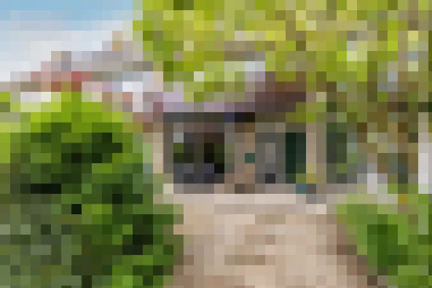 Putteweye 12 Heenvliet thumbnail 6