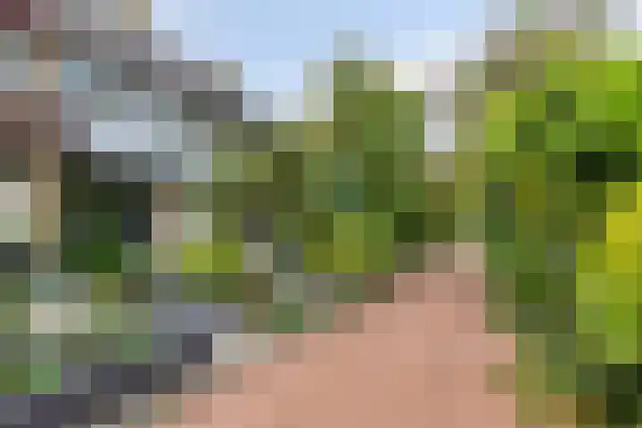 Putteweye 4 en Heenvliet